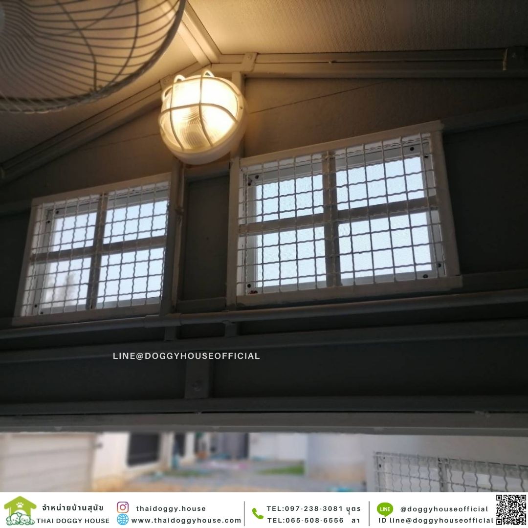 บ้านหมา