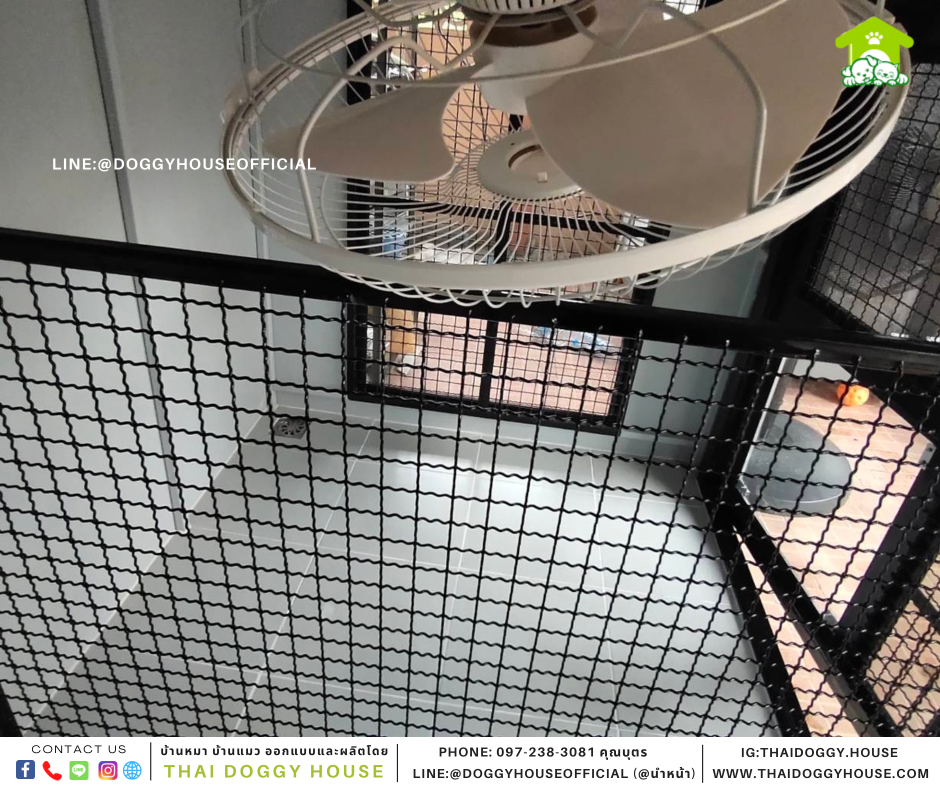 บ้านหมา แบบบ้าน Box style