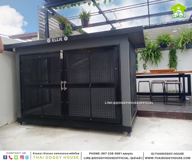 บ้านหมา แบบบ้าน Box style