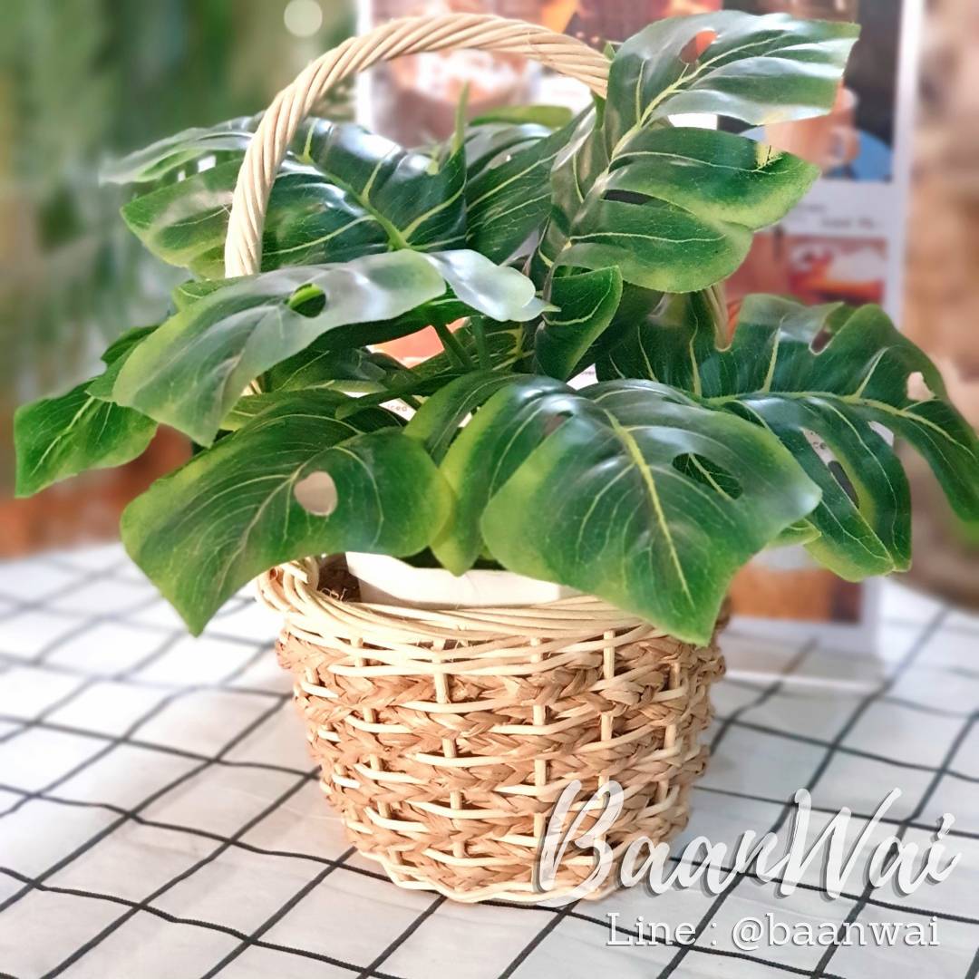 ตะกร้าฟอกขาว ลายกก