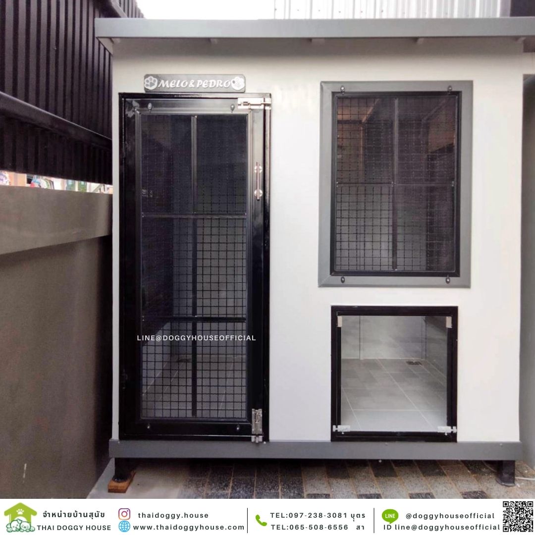 บ้านหมา