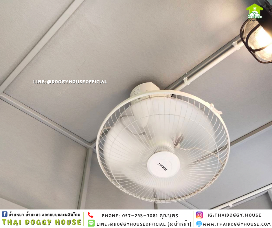 บ้านหมา แบ่ง 𝟐 ห้อง แบบบ้าน 𝐁𝐎𝐗 𝐒𝐓𝐘𝐋𝐄