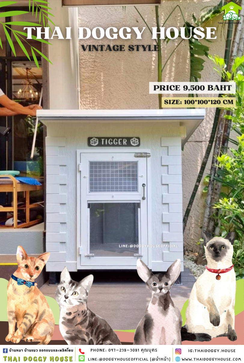 บ้านหมา แบบบ้าน 𝐕𝐢𝐧𝐭𝐚𝐠𝐞 𝐬𝐭𝐲𝐥𝐞