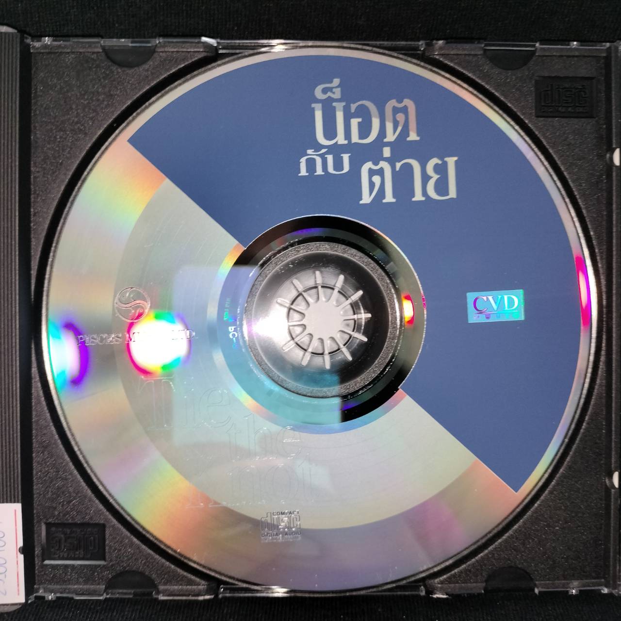 น็อตกับต่าย – Tie the Knot / แผ่นสภาพนางฟ้า