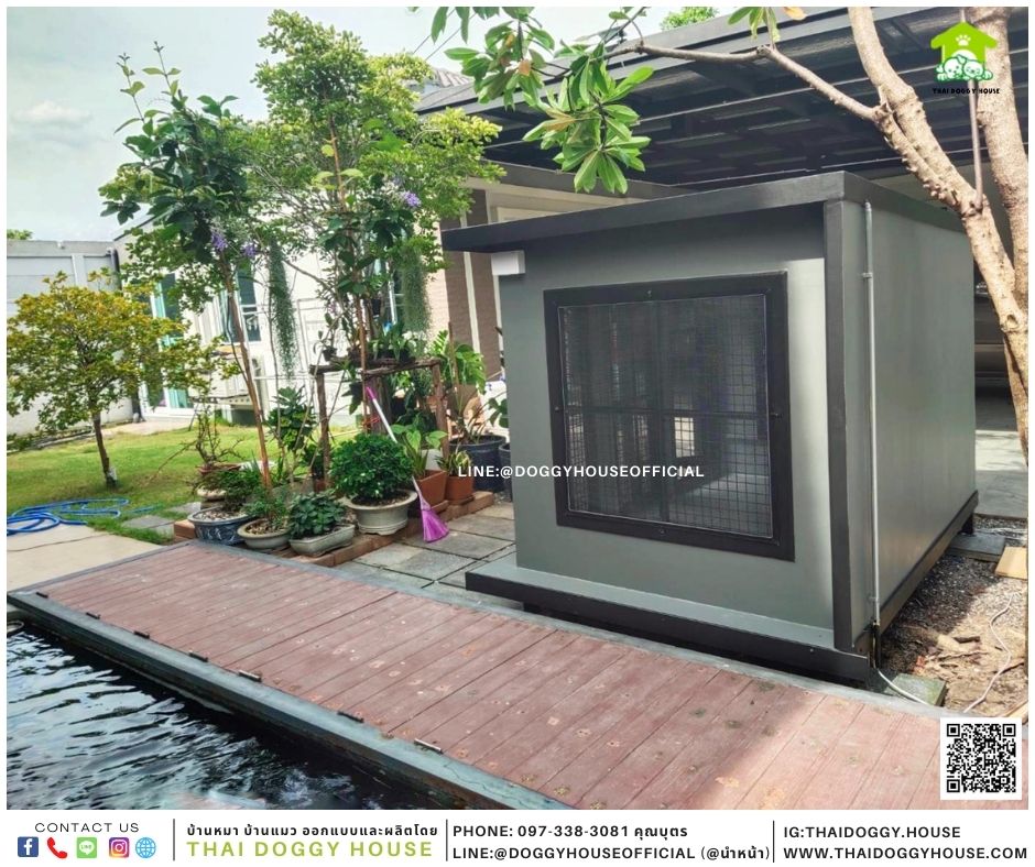 บ้านหมา Box style