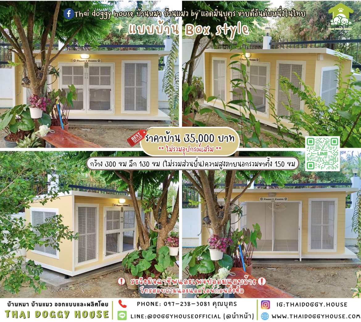 🏠บ้านหมา มุ้งลวด แบบบ้าน 𝐁𝐨𝐱 𝐬𝐭𝐲𝐥𝐞 🐶🔆