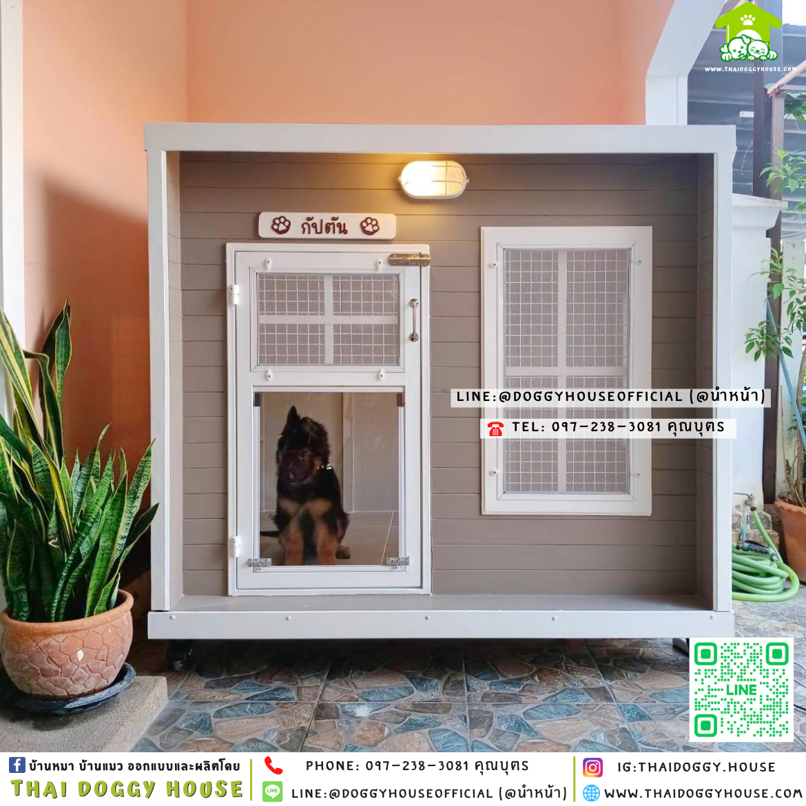 🏡บ้านหมา ติดพัดลม มีมุ้งลวด+ตะแกรงเหล็ก แบบบ้าน 𝐁𝐨𝐱 𝐬𝐭𝐲𝐥𝐞 ✨