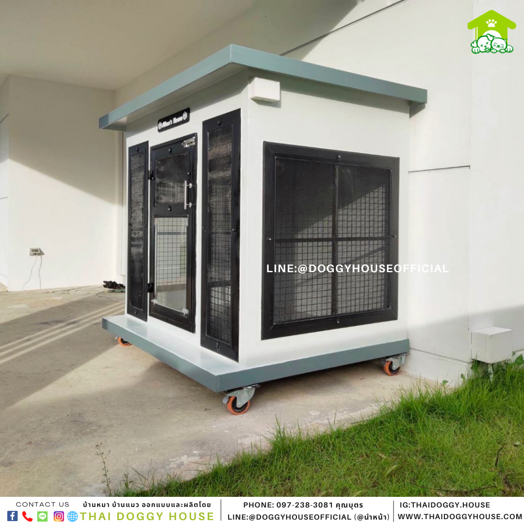 บ้านหมา แบบบ้าน Box style