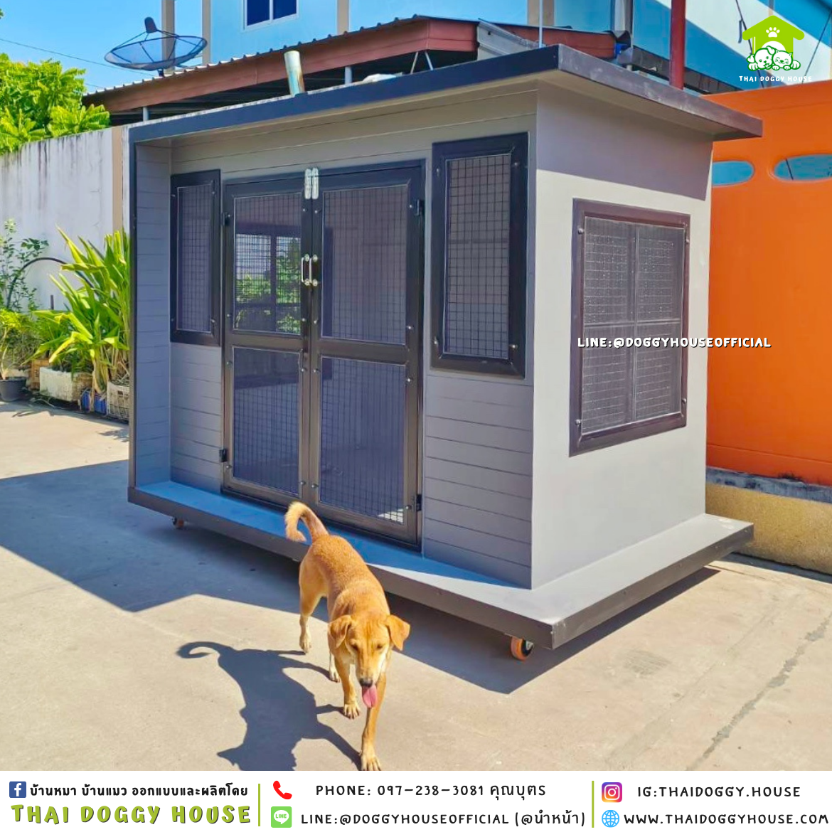 บ้านหมา ติดพัดลม แบบบ้าน 𝐁𝐎𝐗 𝐒𝐓𝐘𝐋𝐄