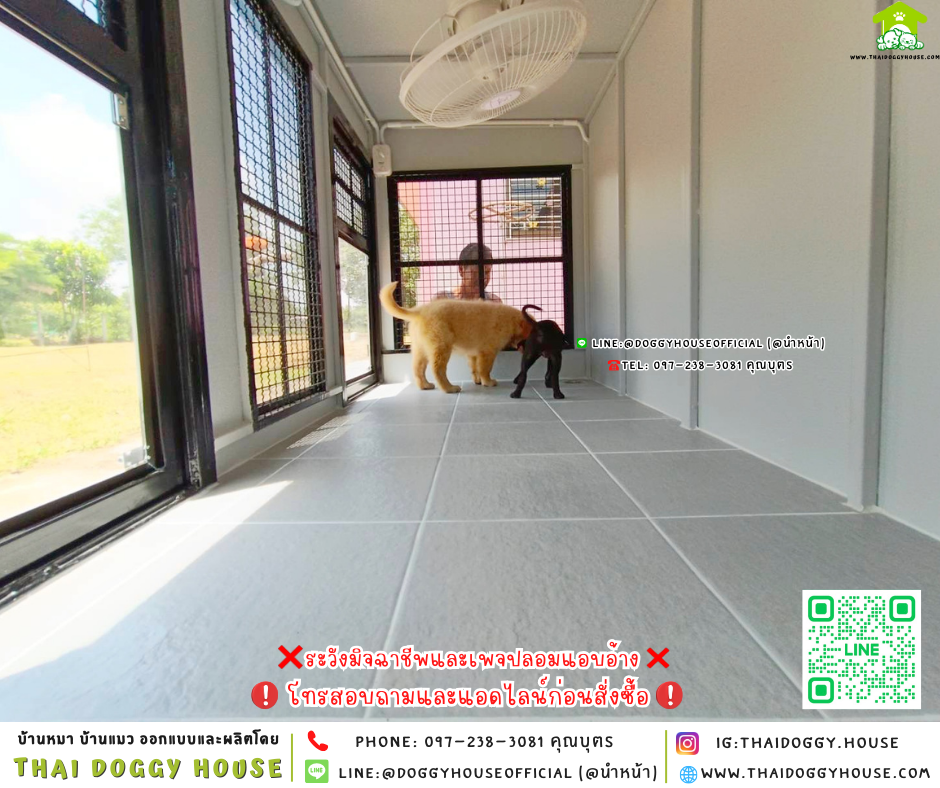 🏡บ้านหมา แบ่ง 𝟐 ห้อง & โซน 𝐨𝐮𝐭𝐝𝐨𝐨𝐫 แบบบ้าน 𝐁𝐨𝐱 𝐬𝐭𝐲𝐥𝐞 🐶