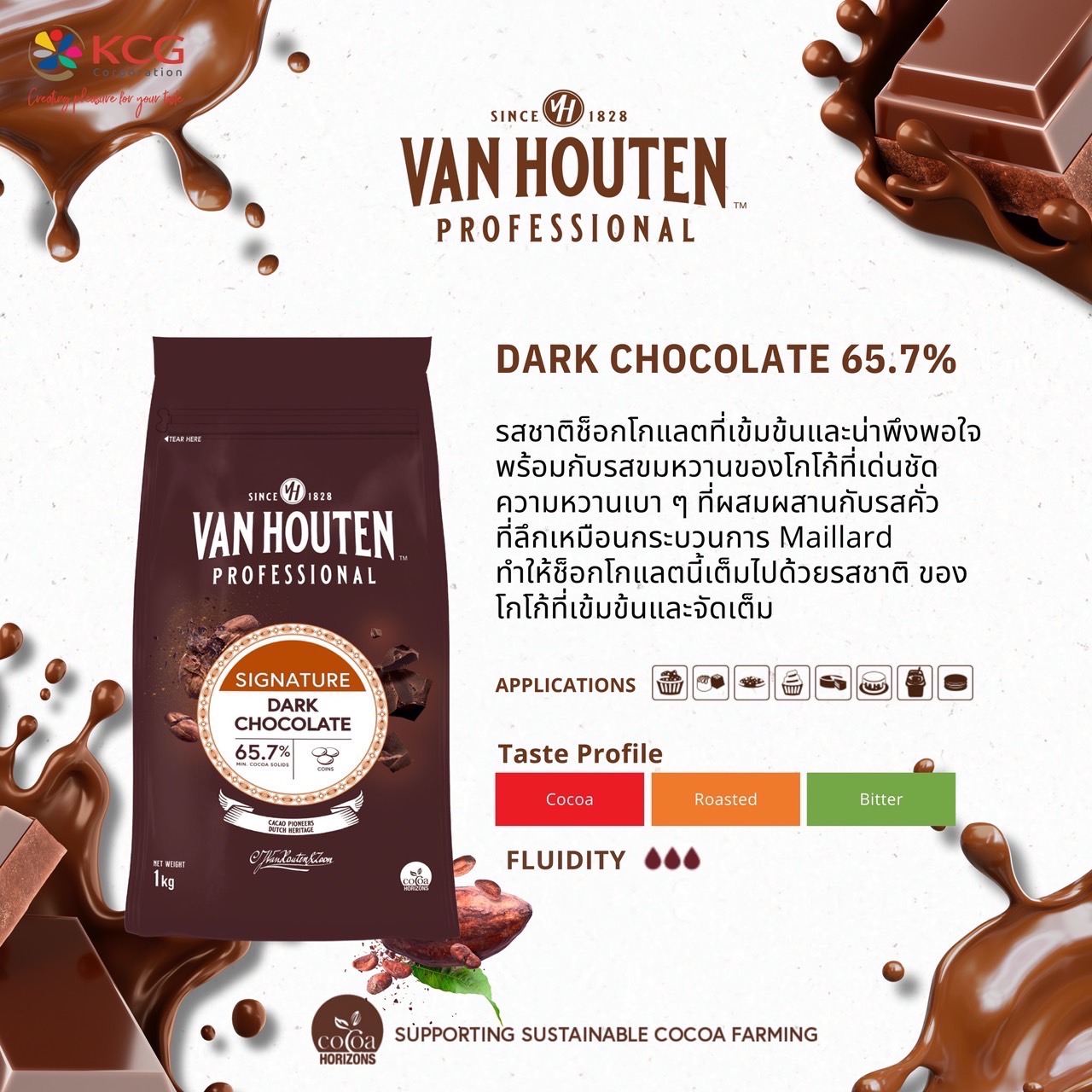 Van Houten Professional Dark Chocolate Couverture Coins 65.7 % 1 Kg. แวนฮูเต็นดาร์คช็อคโกแลตคูเวอร์เจอร์ 65.7 % 1 kg. (05-9385)