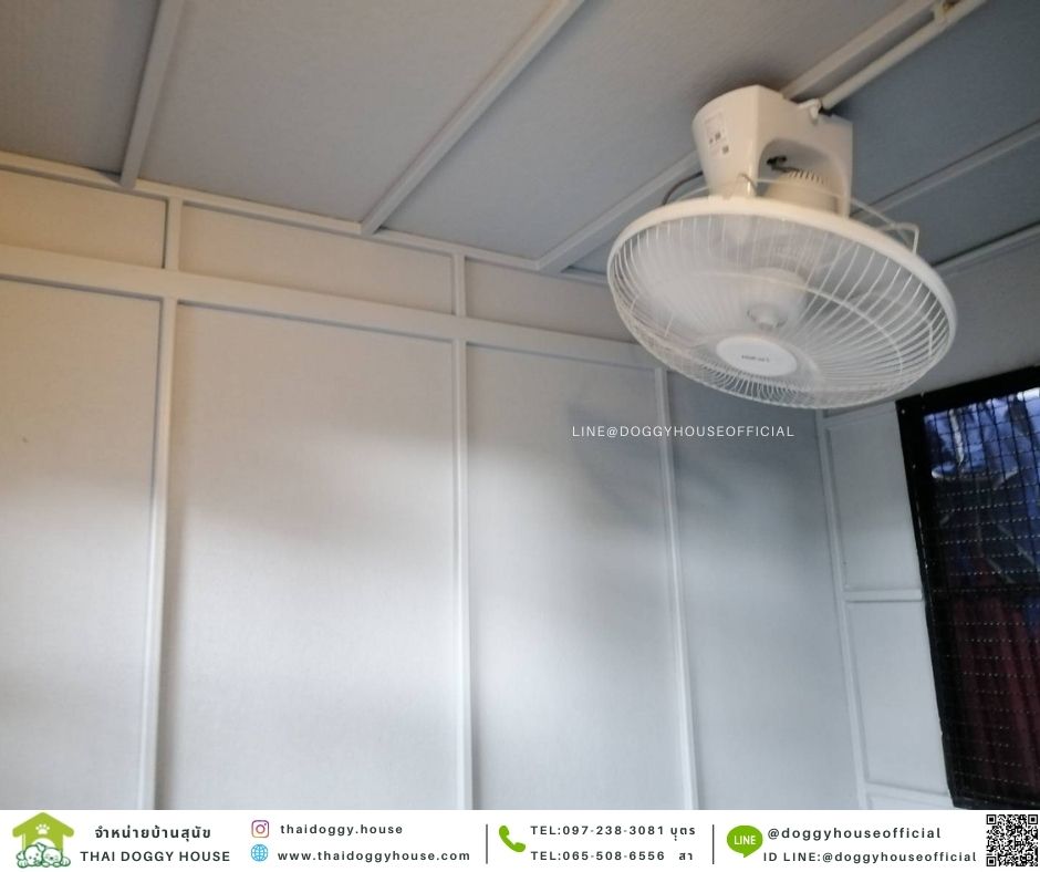 บ้านหมา