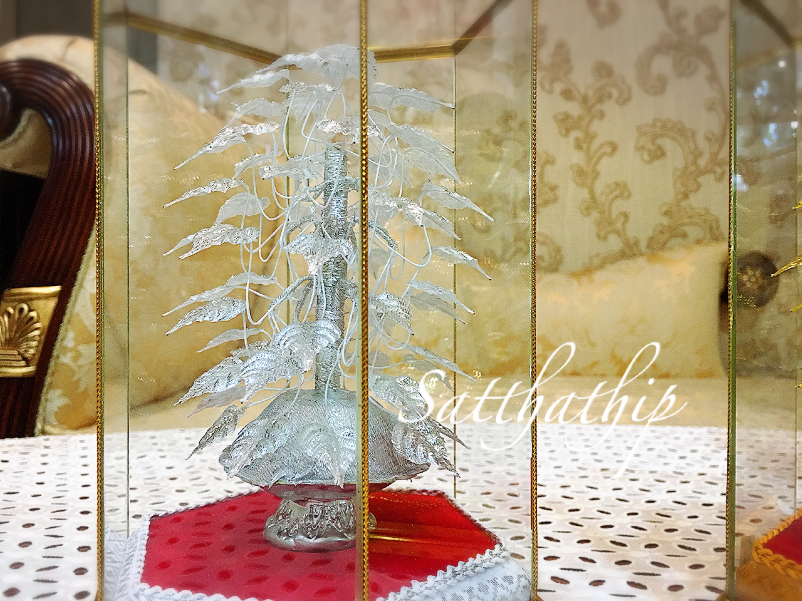 ต้นโพธิ์เงิน โพธิ์ทอง