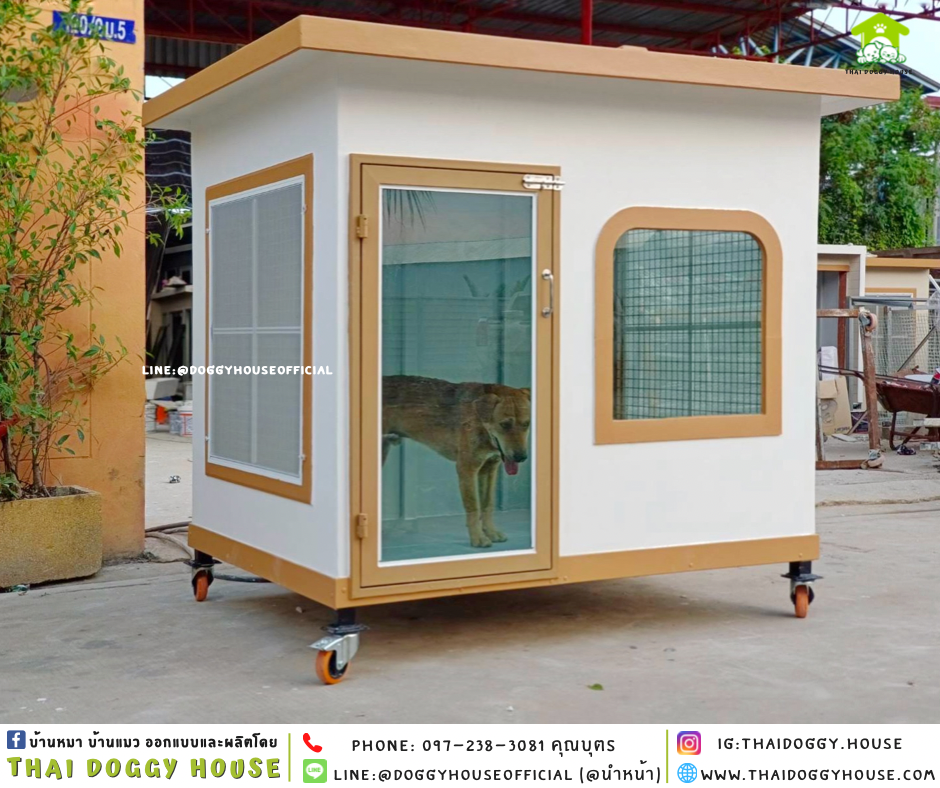 บ้านหมา แบบบ้าน 𝐁𝐎𝐗 𝐒𝐓𝐘𝐋𝐄