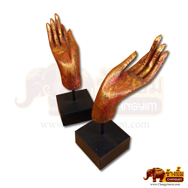 มือหงาย ( คู่ )