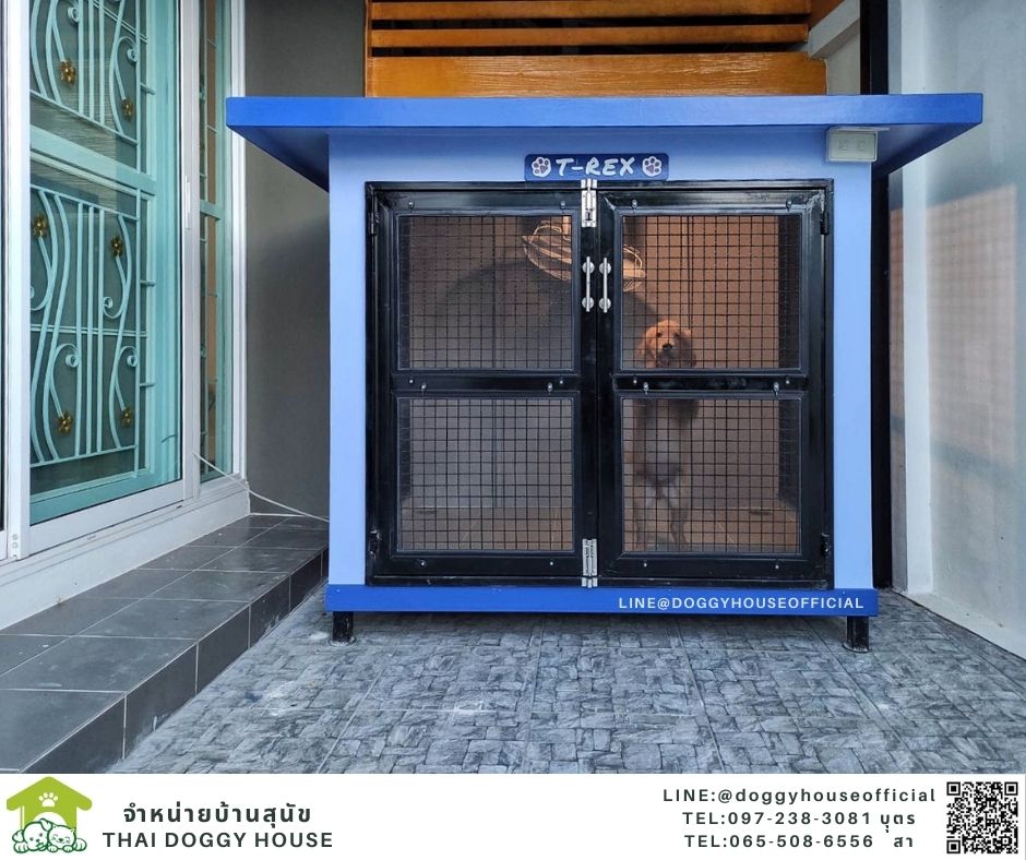 บ้านหมา