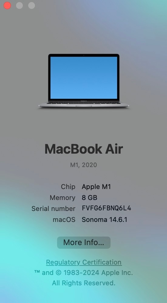 MacBook Air (13.3-inch M1,2020) 8/256