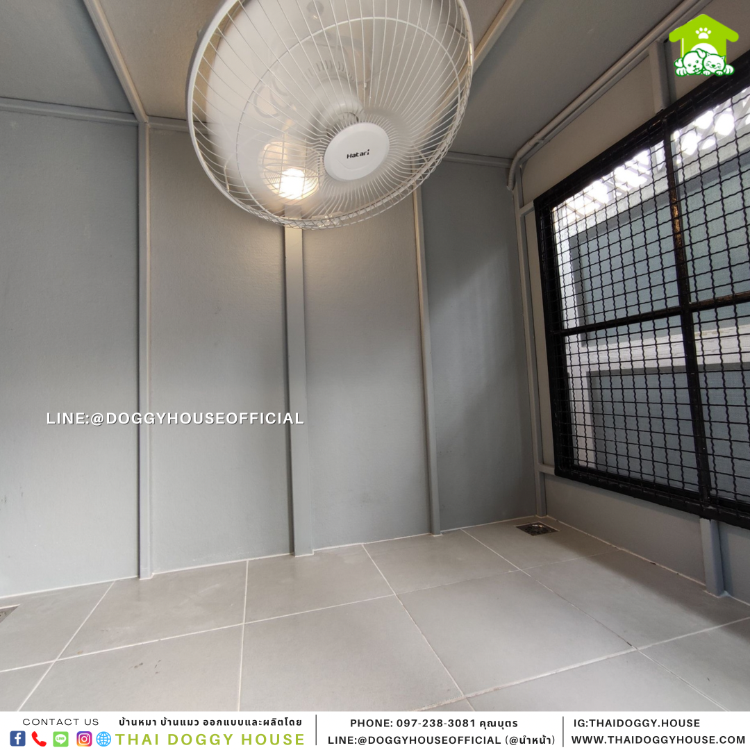 บ้านหมา รุ่นนิยม แบบบ้าน Box style