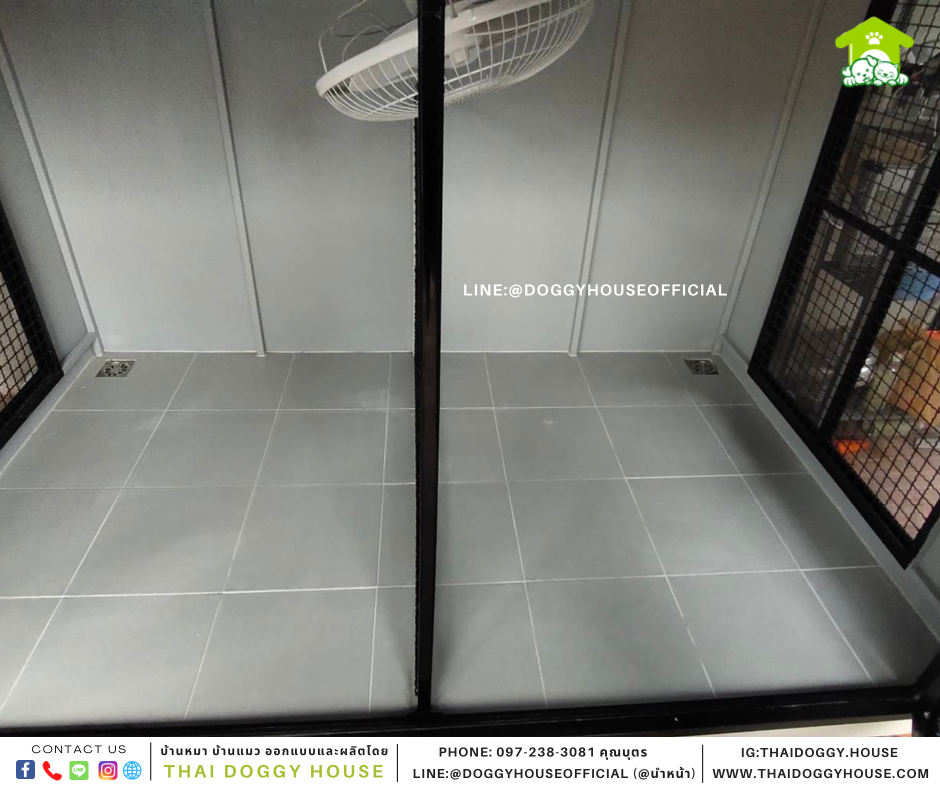 บ้านหมา แบบบ้าน Box style