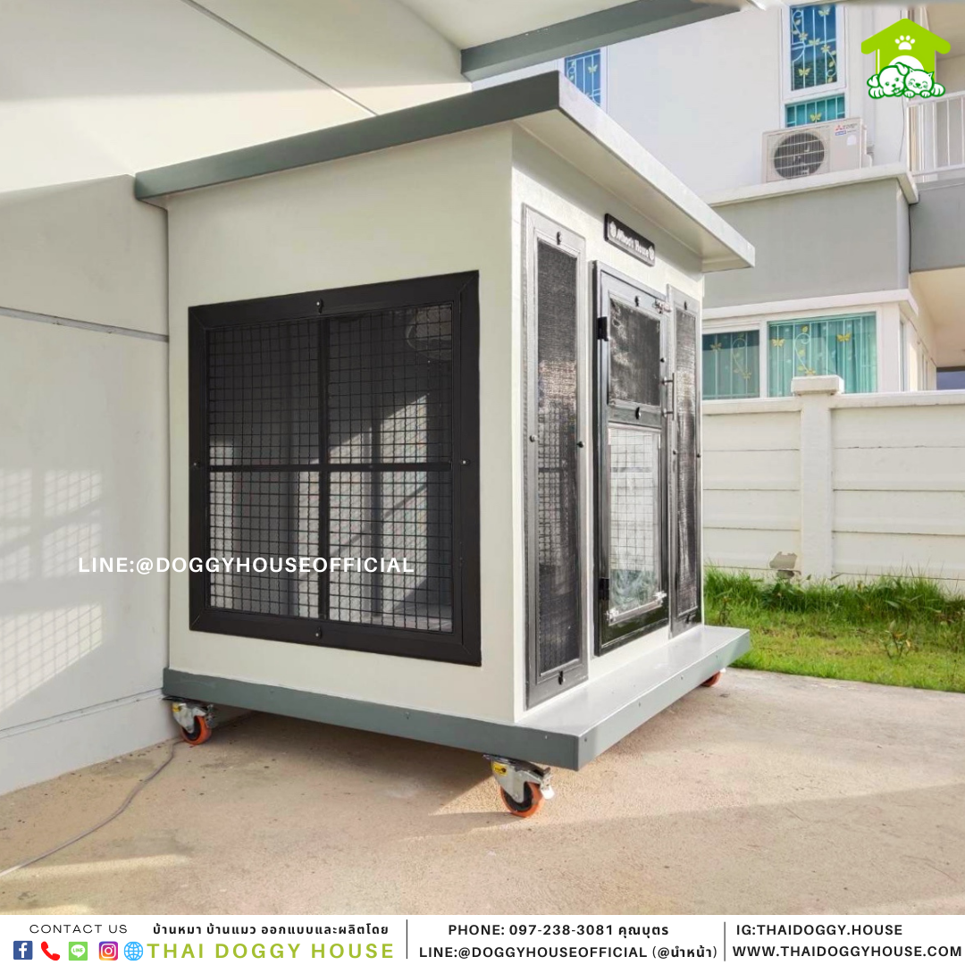 บ้านหมา แบบบ้าน Box style