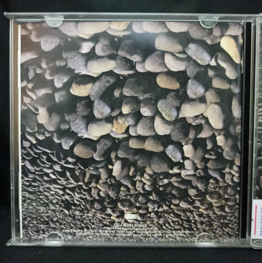 Jamiroquai – Synkronized / JAPAN / แผ่นดี