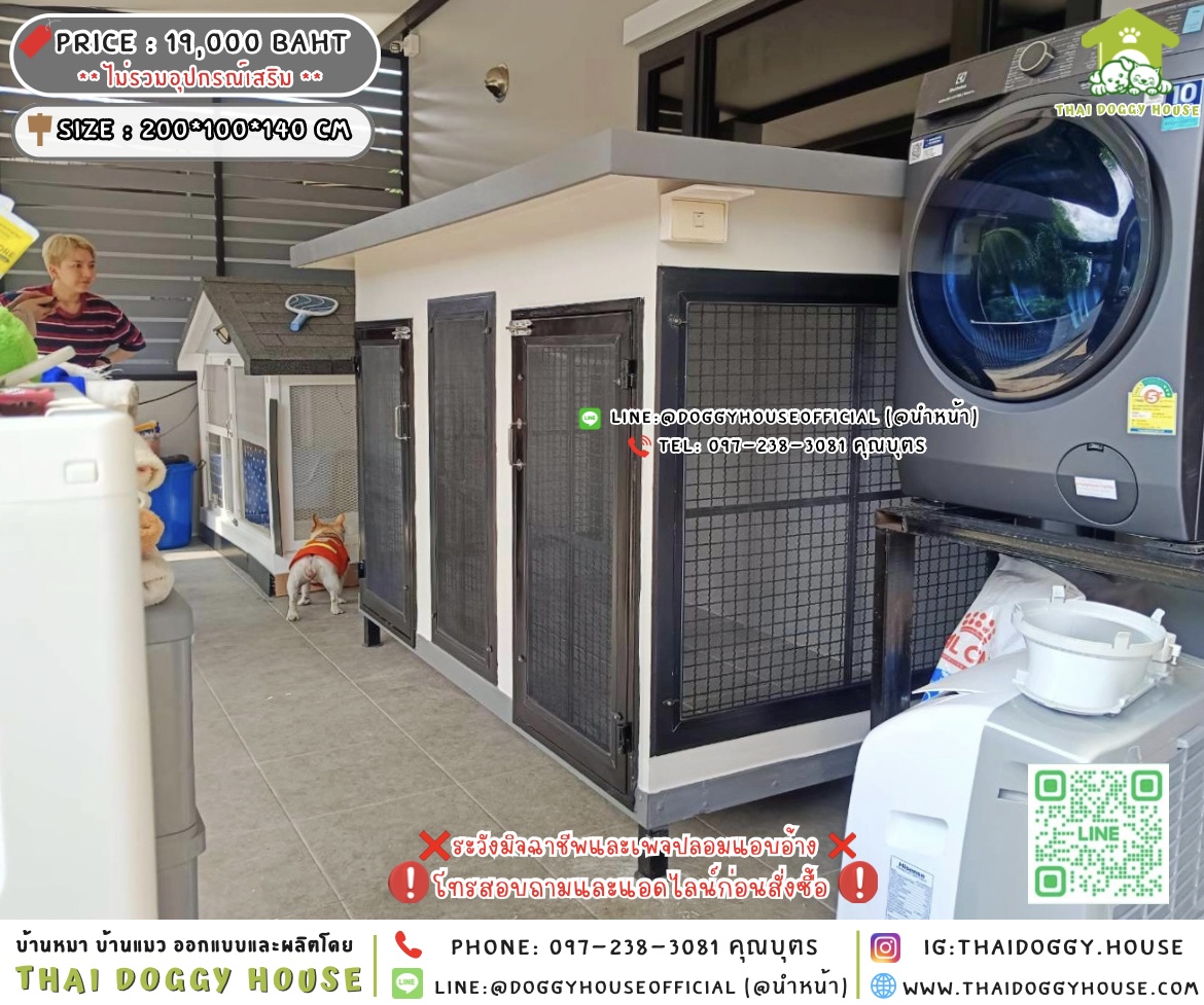 🏡บ้านหมา บ้านแมว 𝟐 ประตู แบบบ้าน 𝐁𝐨𝐱 𝐬𝐭𝐲𝐥𝐞 🐶🐱