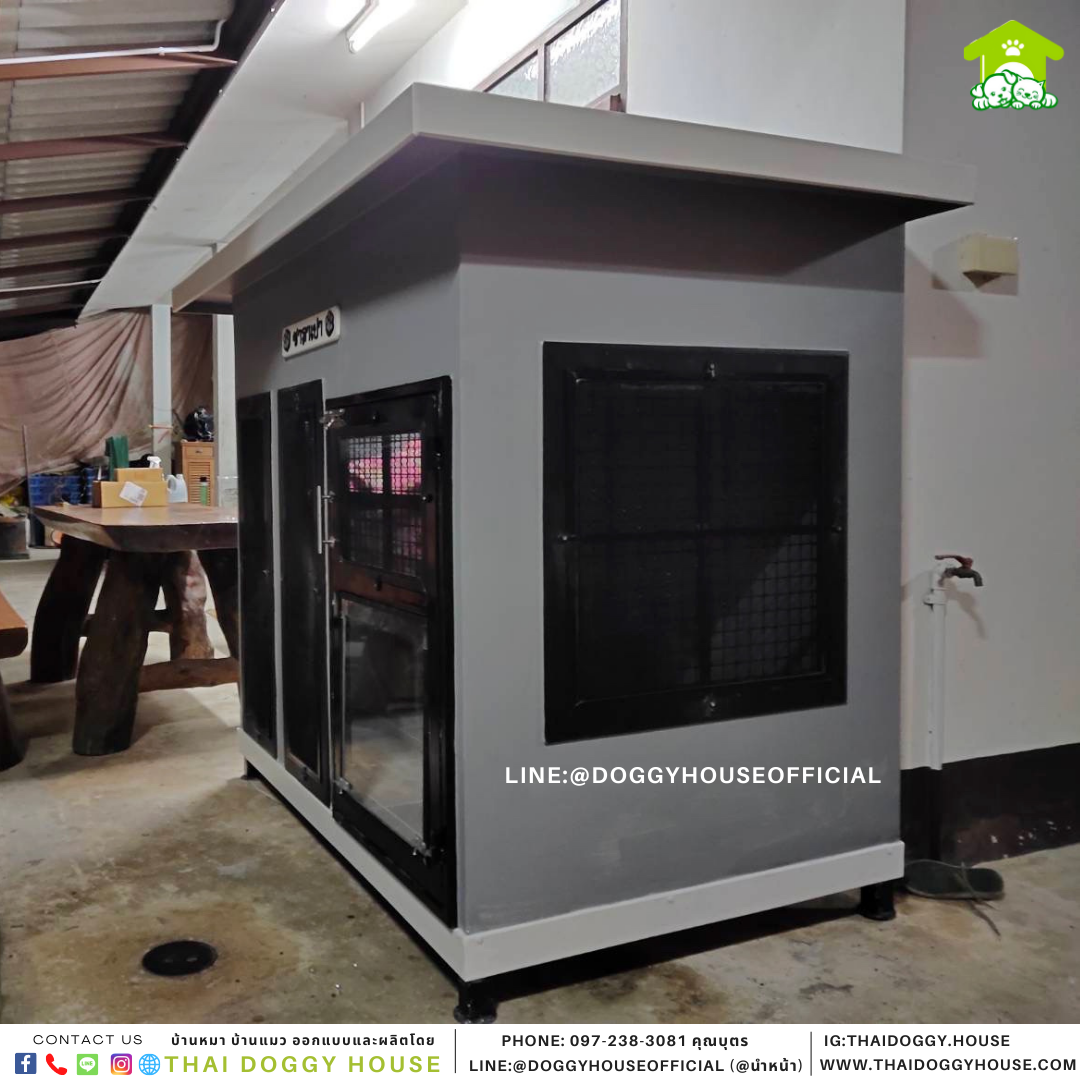 บ้านหมา แบบบ้าน Box style