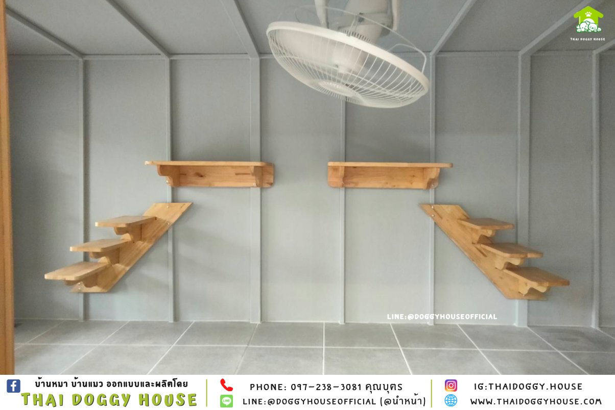 บ้านแมว แบบบ้าน 𝐁𝐎𝐗 𝐒𝐓𝐘𝐋𝐄