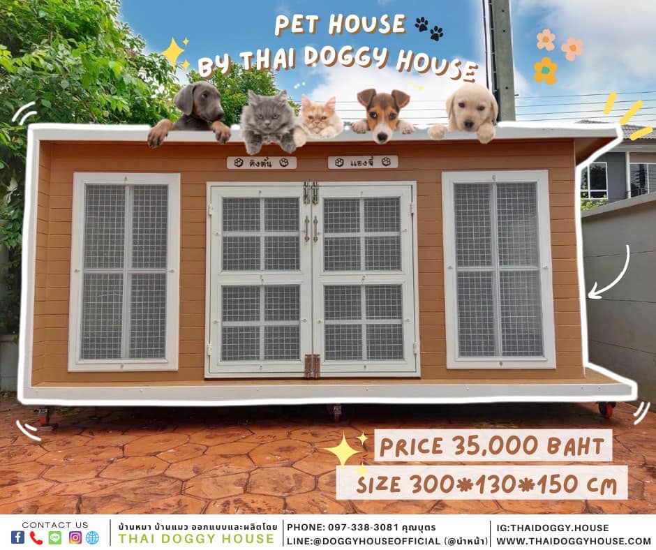 บ้านหมา หลังใหญ่ Box Style