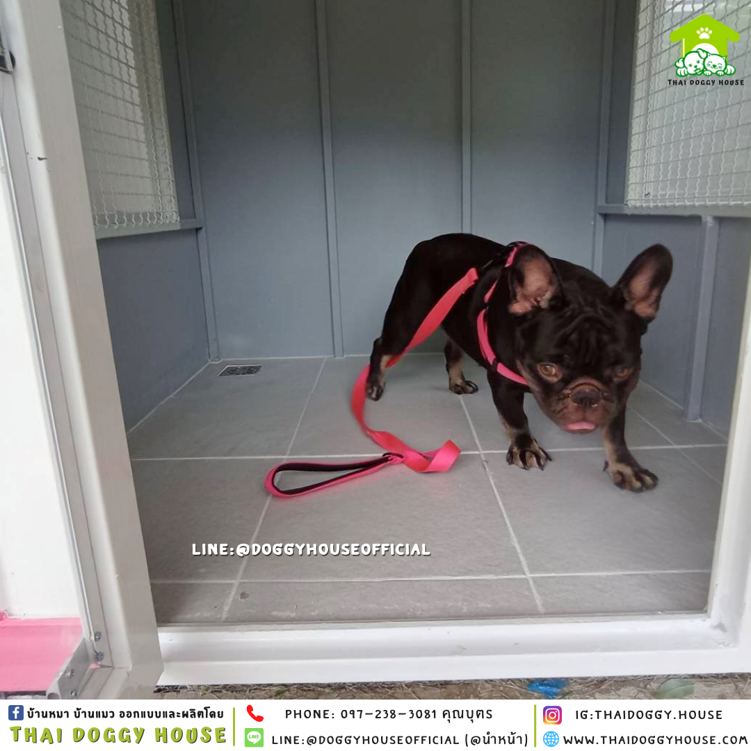 บ้านหมา แบบบ้าน 𝐕𝐢𝐧𝐭𝐚𝐠𝐞 𝐬𝐭𝐲𝐥𝐞