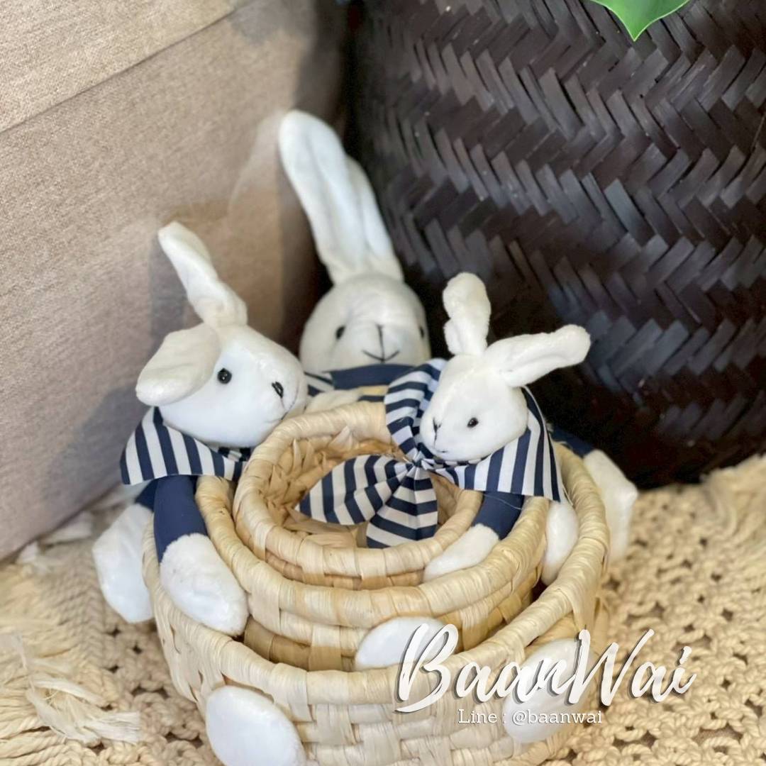 ตะกร้าสาน