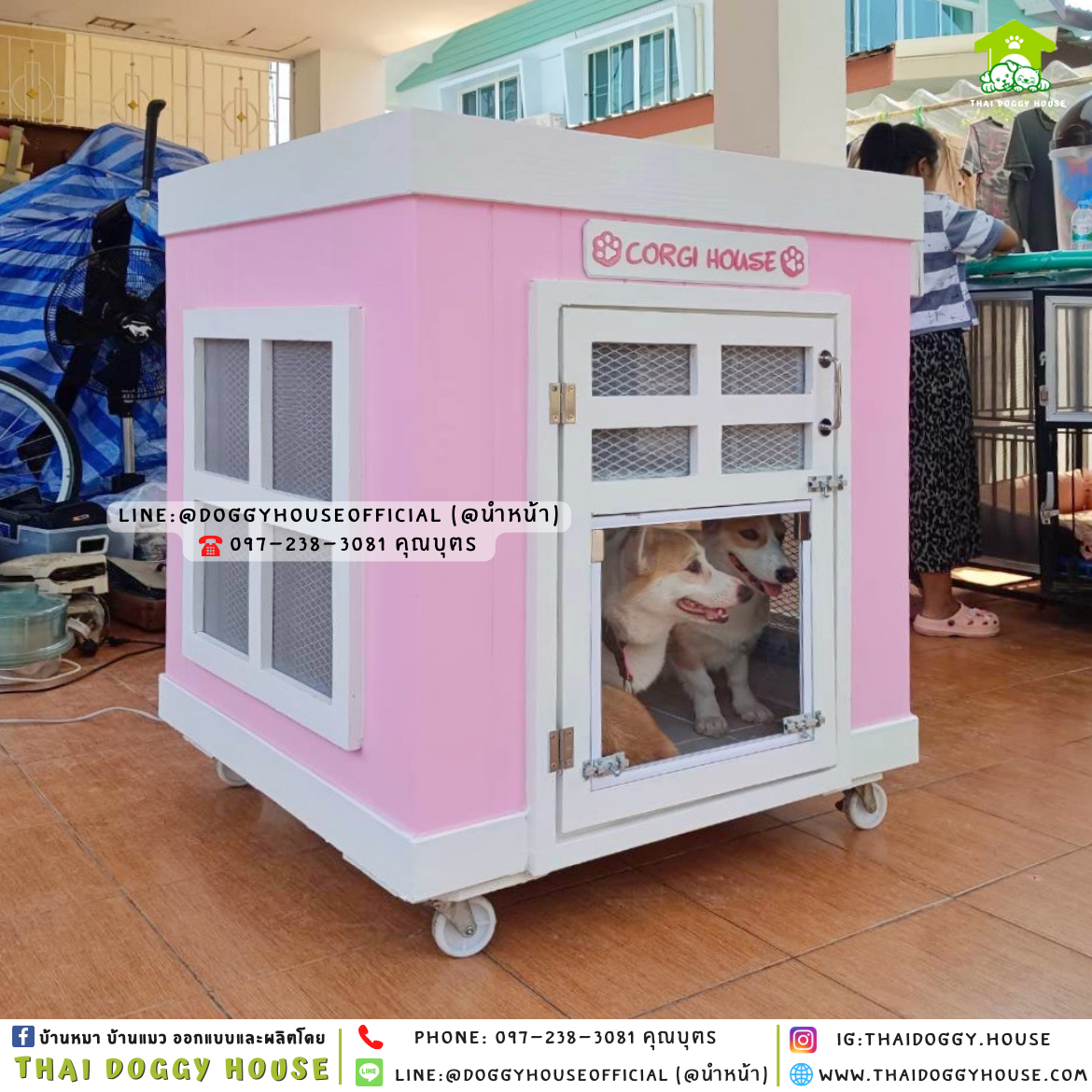 บ้านหมา มีมุ้งลวด + ตะแกรงเหล็ก ทรง 𝐁𝐎𝐗 𝐒𝐓𝐘𝐋𝐄