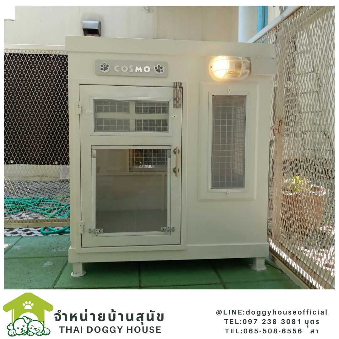 บ้านหมา ทรงBOX