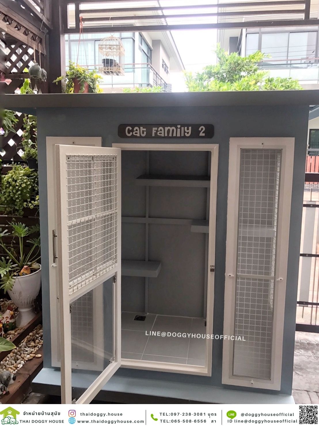 บ้านแมว