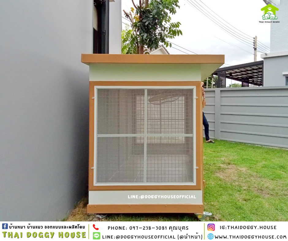 บ้านหมา แบ่ง 𝟐 ห้อง แบบบ้าน 𝑩𝑶𝑿 𝑺𝑻𝒀𝑳𝑬