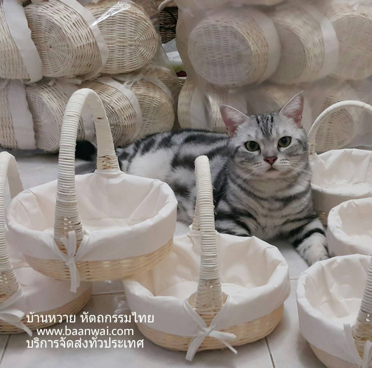 ตะกร้าหวายฟอก ขนาด 6 นิ้ว ตะกร้าหวายสีขาว ตะกร้าหวายทรงกลม ตะกร้าหวายดิบ