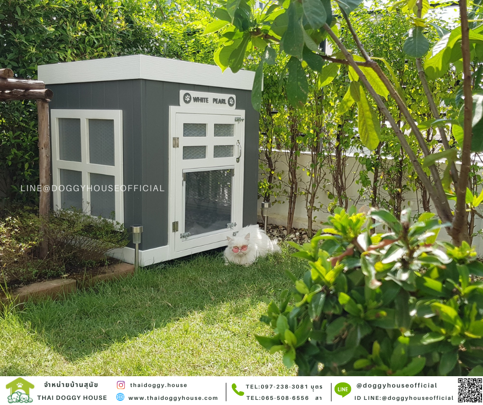 บ้านแมว ทรงBOX