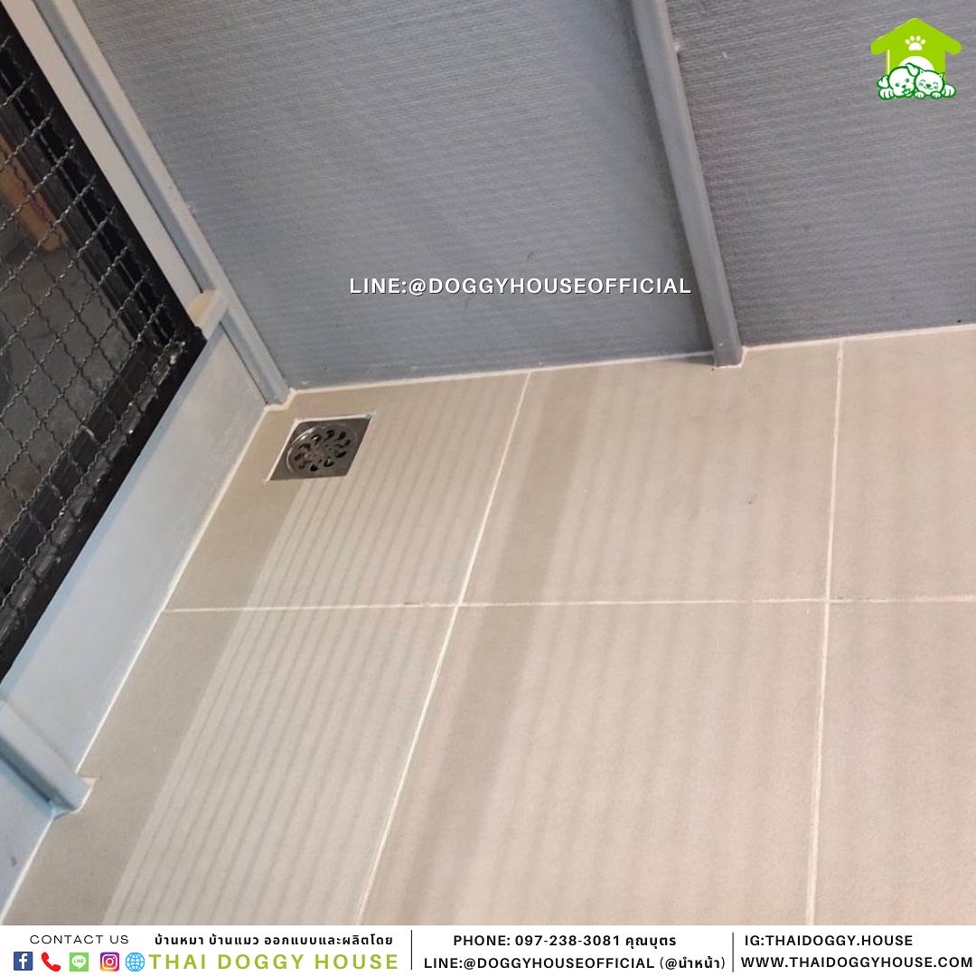 บ้านหมา แบบบ้าน BOX STYLE