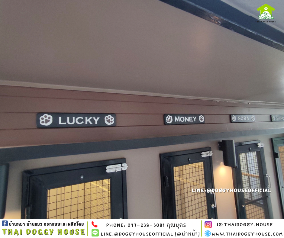 บ้านหมา ทรงบ้านแฝด 4 ห้อง