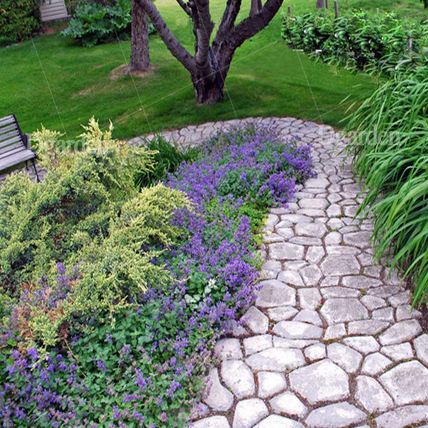 แม่พิมพ์ทางเดิน D2