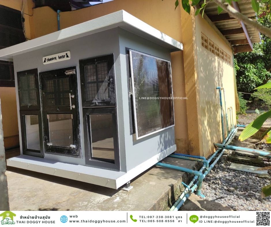 บ้านหมา