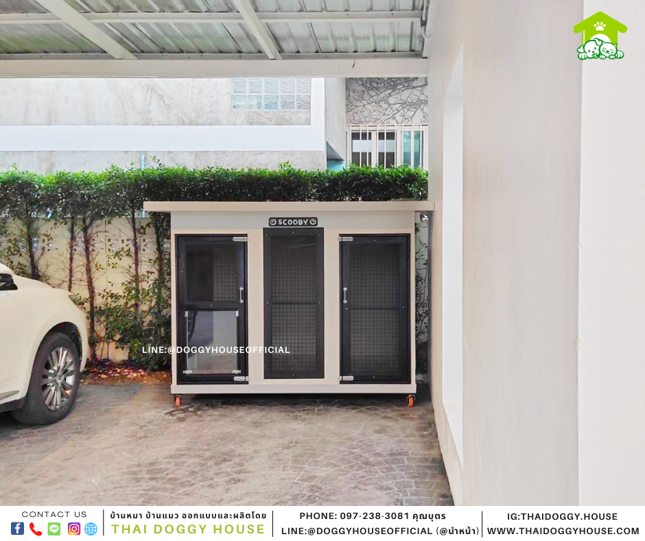 บ้านหมา 2 ประตู Box style