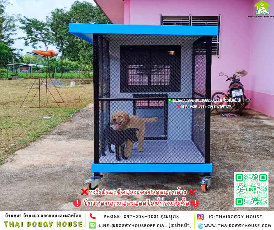 🏡บ้านหมา แบ่ง 𝟐 ห้อง & โซน 𝐨𝐮𝐭𝐝𝐨𝐨𝐫 แบบบ้าน 𝐁𝐨𝐱 𝐬𝐭𝐲𝐥𝐞 🐶