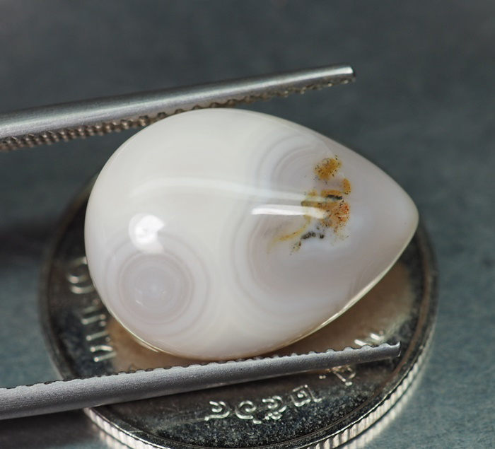 เจสเปอร์ (Ocean Jasper) 7.23 กะรัต