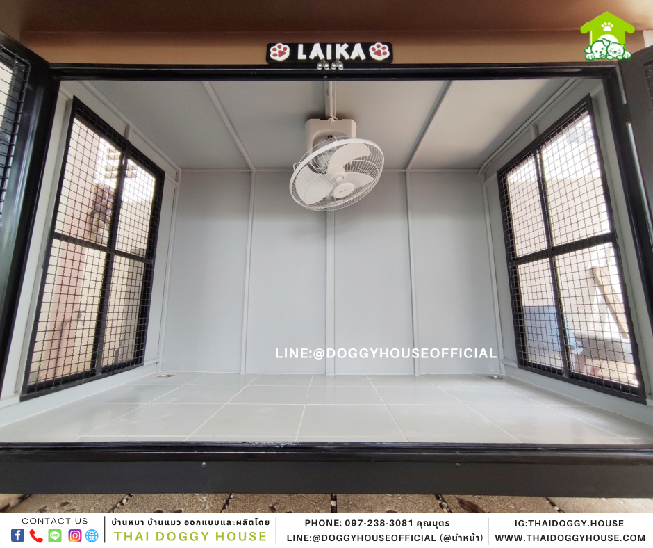 บ้านหมา แบบบ้าน Box Style