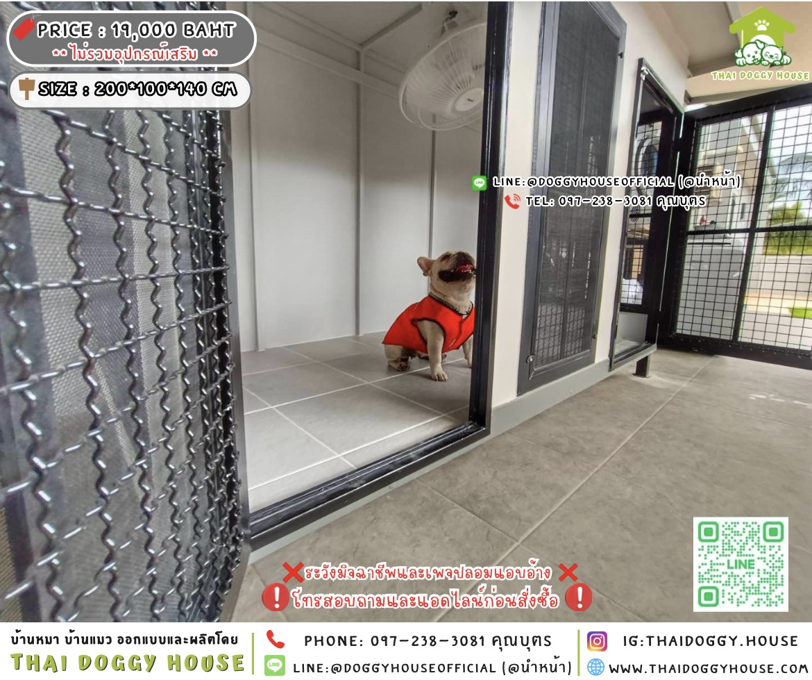 🏡บ้านหมา บ้านแมว 𝟐 ประตู แบบบ้าน 𝐁𝐨𝐱 𝐬𝐭𝐲𝐥𝐞 🐶🐱