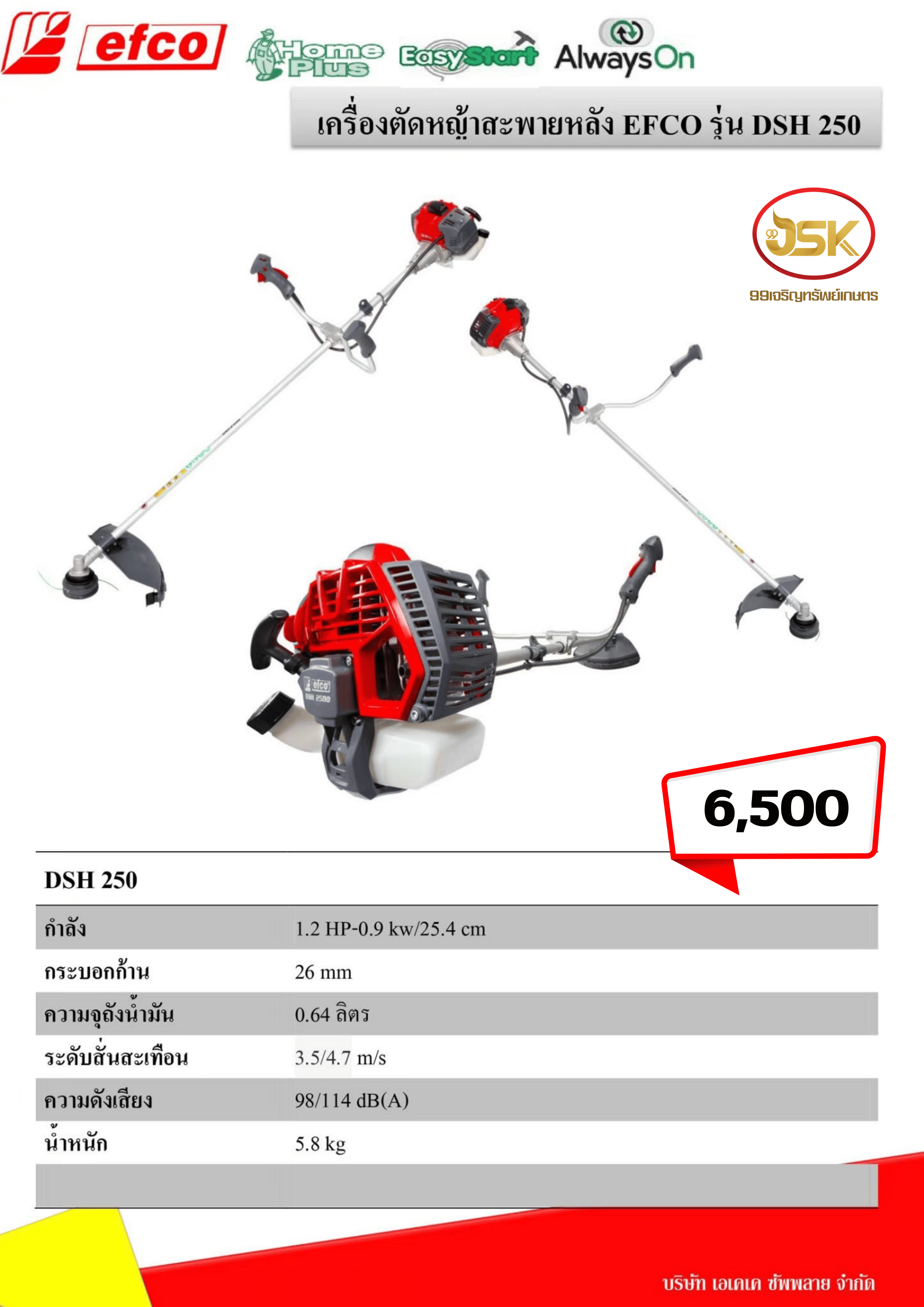 เครื่องตัดหญ้า EFCO รุ่น DSH250