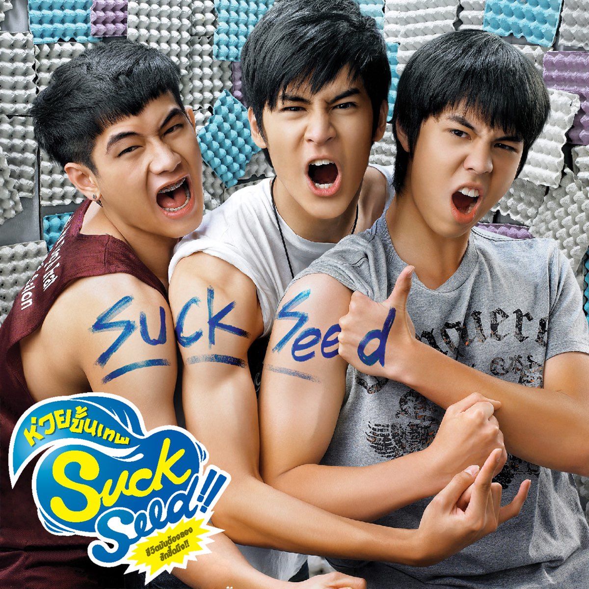 รวมศิลปิน – Suckseed ห่วยขั้นเทพ / แผ่นสวย