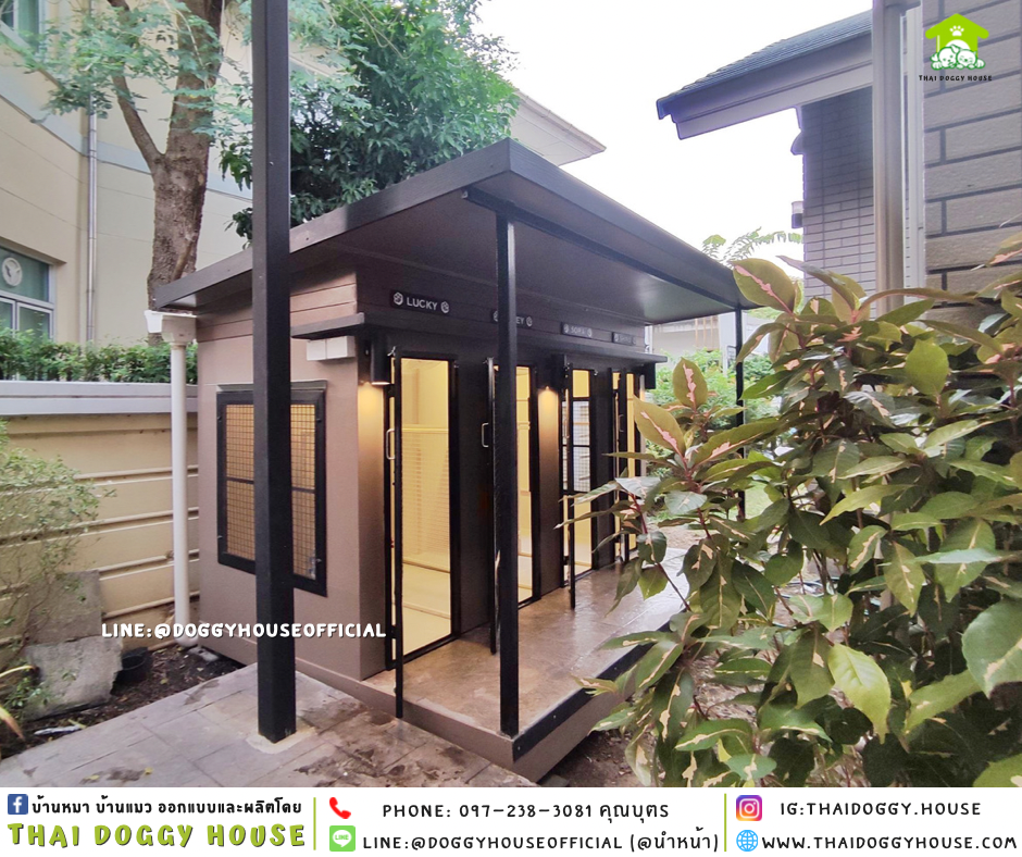 บ้านหมา ทรงบ้านแฝด 4 ห้อง