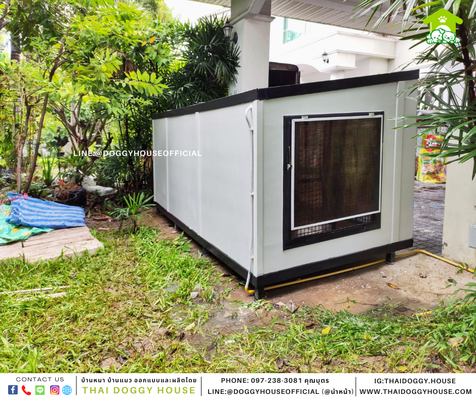 บ้านหมา หลังใหญ่ BOX STYLE